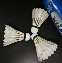 KLINT Karin Badminton Blue Karin