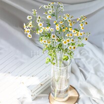 Flowers Yunnan straight flower bouquets home water raising small daisy flowers chamomile flowers express city Shanghai