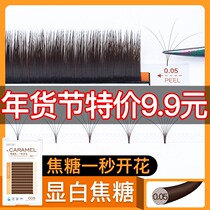 (Special Price) 0 05 Caramel Camellia Grafting Eyelashes Flowering in One Second Planting Eyelashes Flowering Without Rebound