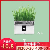 Unka Vetreska soilless cat grass Hand-grown cat grass Cat snacks Spit hair balls induce vomiting Just need watering