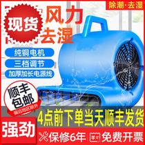 Carpet Blow Carpet Blow Drying Hotel Dehumidification Blow Ground Blow Ground Blow Ground Blower Commercial Blow Dry