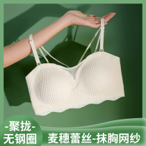 Cat-man wipes bras with small breasts gathered without steel ring anti-walking summer thin beauty vest bra
