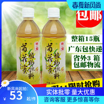 Dongyitang Chrysanthemum honey 500ML 15 bottles of chrysanthemum juice chrysanthemum tea ready-to-drink chrysanthemum beverage box
