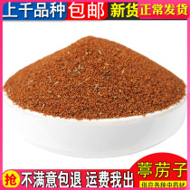 Chinese herbal medicine natural selection of sulphur-free semen lepianii Semen Kiosk Stop Power 500 gr 