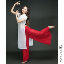  Gorgeous solo show belly dance practice suit 2021 new robe belly dance performance suit yoga cheongsam wide leg pants