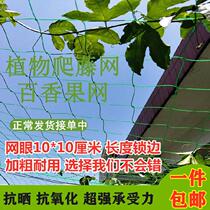 Garden garden vine plant climbing tree Net multi-purpose floral climbing green plant flower