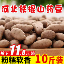 Hebei iron bar Yam fresh 5kg yam bean spring season Huaishan iron yam whole box iron root Yam 10