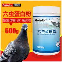 Glad six insect protein powder Pigeon medicine supplement can strengthen bones and bones moult health conditioning and nutrition Pigeon medicine Daquan
