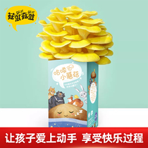  (Mushroom nourishing mushroom nourishing)Hello small mushroom planting package Mushroom package boxed edible childrens diy mushroom stick mushroom seeds