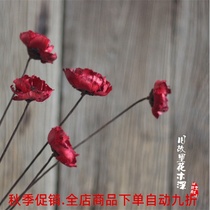  (Poppy beauty)Club SPA soft decoration natural charm Home furnishings combination art dried flower shooting props