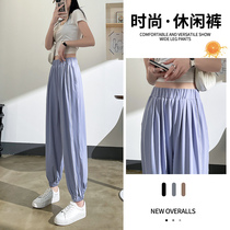 Casual ice wire speed dry sweaters female summer thin 2022 new high waist slim loose beam feet Harlen pants