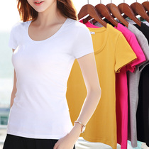 White base shirt womens short slim fit tight cotton short-sleeved t-shirt large round collar black wild v-neck t-shirt