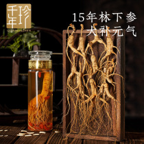 Northeast specialty Changbai Mountain ginseng 15-year-old forest ginseng pruning dried ginseng seeds cargo wine special non-wild ginseng