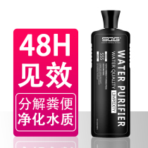 Nitrifying bacteria fish tanks digestive water purification water quality stabilizers aquarium fish supplies chlorination agents live bacteria