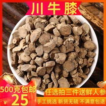 Sichuan Achyranthes Achyranthes Chinese Medicinal Materials 500g Sichuan Achyranthes Achyranthes Achyranthes Achyranthes Chinese Medicinal Materials 500g Sichuan Achyranthes Achyranthes