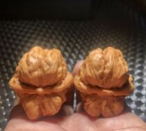 Wenplay walnut wild Beijing Yanqing Toad head lump bag lion head 36 side short pile stuffy tip special boutique original
