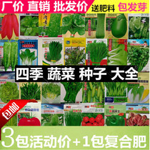 Pastoral rapeseed seeds spring vegetable seeds autumn and winter Shanghai green seeds Four Seasons balcony small white rapeseed radish seeds