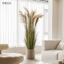 Simulation green planting natural reed hay hay decoration indoor living-room sofa-side bionic dog tailgrass plant floor potted plants