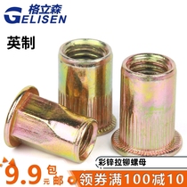 Pull rivet nut flat head post grain drawing cap small countersunk head pull rivet nut semi-hexagonal pull rivet nut inch inch