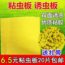 Yellow plate double-sided sticky insect board lavender sticky yellow to destroy the small flying insect dip fruit fly trap fruit orchard shed