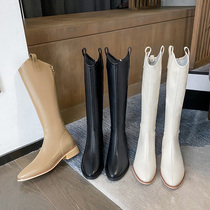 Pointed long cylinder boot female coarse heel 2021 fall new V-mouth high cylinder western cowboy boots slim but knee-length boots