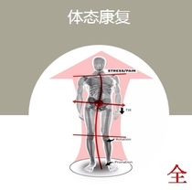 Wang Hao Posture rehabilitation training bouncing hip bouncing shoulder video audio handout complete SHZS001