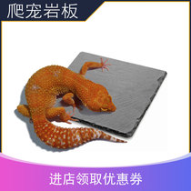 Climbing pet repert rock board BAO WEN fat tail crest horn gougong grinding nails corn snake to help friction and itching molt