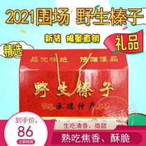 Chengde Paddock wild hazelnut gift box New Year nut snacks gift original Hebei specialty 3kg 4kg