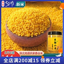 Yellow millet rice fat fragrant valley rice farmers produce porridge porridge pregnant women and babies grains rice five cans of rice one shot one shot one shot five cans of rice five cans of rice five cans of rice five cans of rice