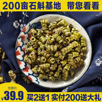 Dendrobium tin powder Nobile maple bucket Fresh strips Dried strips soaked in water Dried flowers Dendrobium tea rice gift box Dendrobium flower premium seedlings