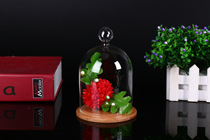 Evergreen flower glass cover refreshing flower cover sub transparent cake cover thickened micro-landscape cover gift