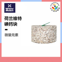 Dutch Witte magic wheel pet parrot bird food grinding mouth calcium nutrition mineral iodine calcium nibble tiger skin Xuanfeng