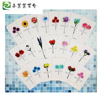 Simulation flower greeting card birthday gift card message to send girlfriends boyfriend Christmas blessing card Black