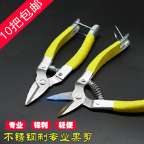 Stainless steel pick pepper grape scissors Orange scissors Thin fruit scissors Tomato scissors Pick fruit scissors Vegetable and fruit scissors Lemon scissors