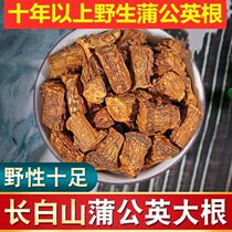 Long white mountain dandelion root mother-in-law Ding root fried and cooked dandelion root (years of dandelion old root)