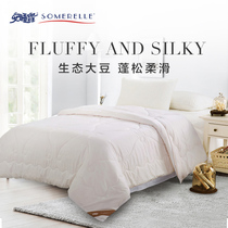 somerelle soybean hole fiber air conditioner in the spring and autumn quilt core dong bei summer quilts