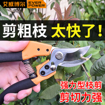 Awibor pruning gardening scissors and cutting branches for special scissors for flower arts scissors