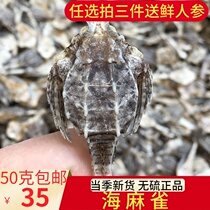Sea Sparrow dry goods 50 grams of fishermen self-drying suitable for sea dragon health soup soaking wine material Haiyan