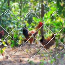 Wire Mesh Steel Wire Mesh Hook Flower Mesh Breeding Pig Mau Sheep Ring Fence Mesh Orchard Rangeland Rangefence Nets Protective Netting