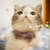 Pet bow tie anti-throw cat bell flag decoration denim small and small puppy cute dog supplies Teddy collar