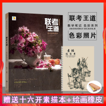 Joint examination Wang Dao color still life photo 2019 Teaching notes Zhong Wen Tutor Gouache painting copy template Photo-to-picture copy template Gome feast hegemony Color still life super copy High Art Joint school examination Art painting