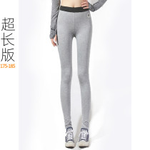 Summer thin extended casual leggings slim sweatpants fitness yoga pants Modeer cotton soft