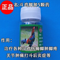 Fighting chicken cockfighting medicine cockfighting foot swelling medicine cockfighting chicken competition medicine