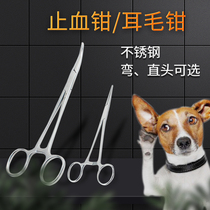 Pet cat and dog ear hair pliers for beauticians special straight head elbow stainless steel hemostatic pliers Ear canal trimming scissors tweezers