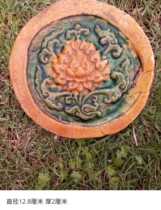  Flowers are rare in Wada