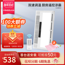 Famous kitchen embedded Liangba lighting two-in-one kitchen cold bully integrated ceiling 30*60 cooling fan 6013