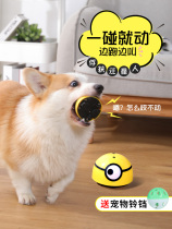 Pooch toy cat deconsults with dog Divine Instrumental Puppy Resistant to Bite Grinders Electric Vocal Small Dog Kökkie Pet Supplies