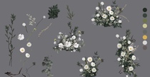 Wedding floral hand-painted material renderings fresh white green dark green white pastoral psd layered file wedding ins