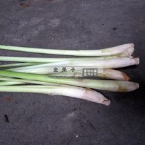 Lemongrass lemongrass lemongrass fresh spices Tom Yum Kung soup raw materials 500g