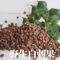 Gansu Minqin specialty wild white thorn fruit acid fat 2020 desert health tea wine desert Cherry 500g